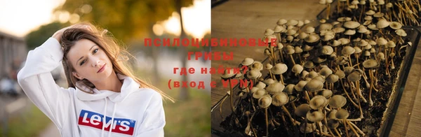 шишки Алексеевка