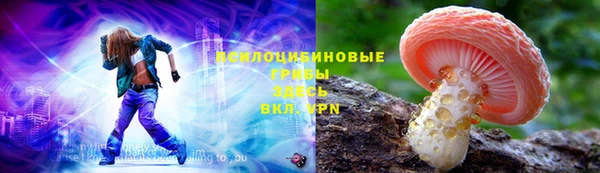 шишки Алексеевка