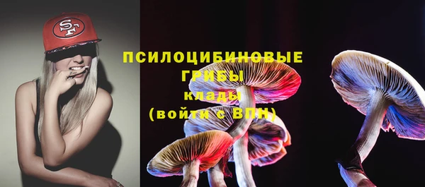 шишки Алзамай
