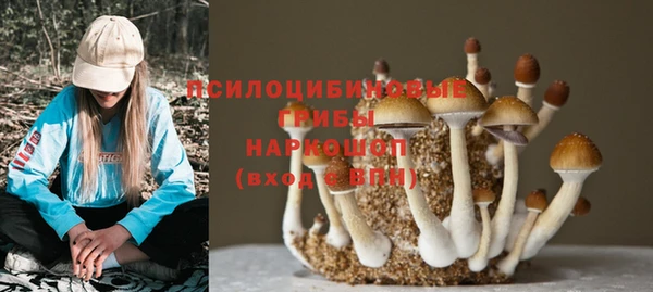 шишки Алзамай